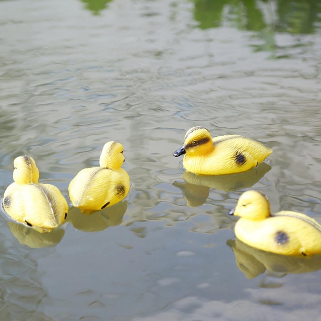 Decoy Duck Plastic - 5 Chiếc Nổi Vịt Vịt Ao
