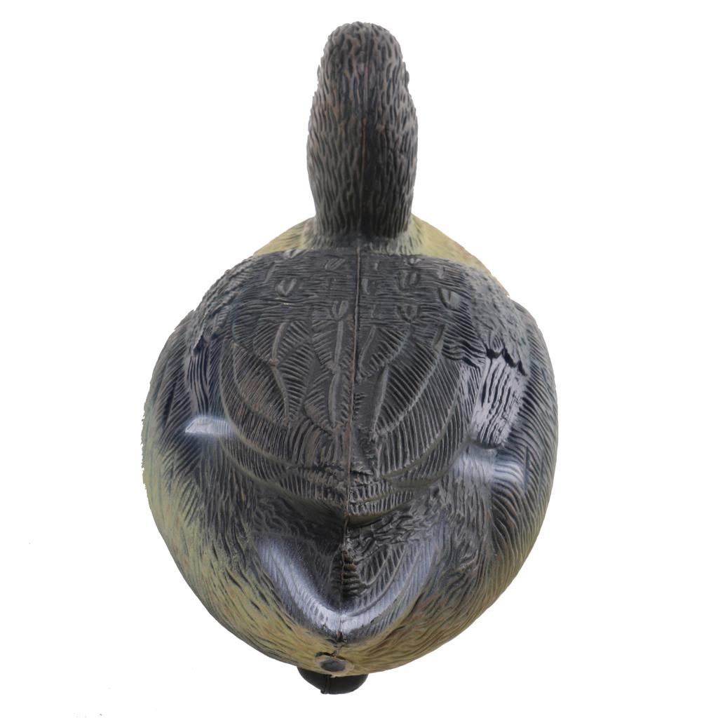 Durable Plastic Duck Decoy Hun - đánh giá và giá Decoy Duck Plastic
