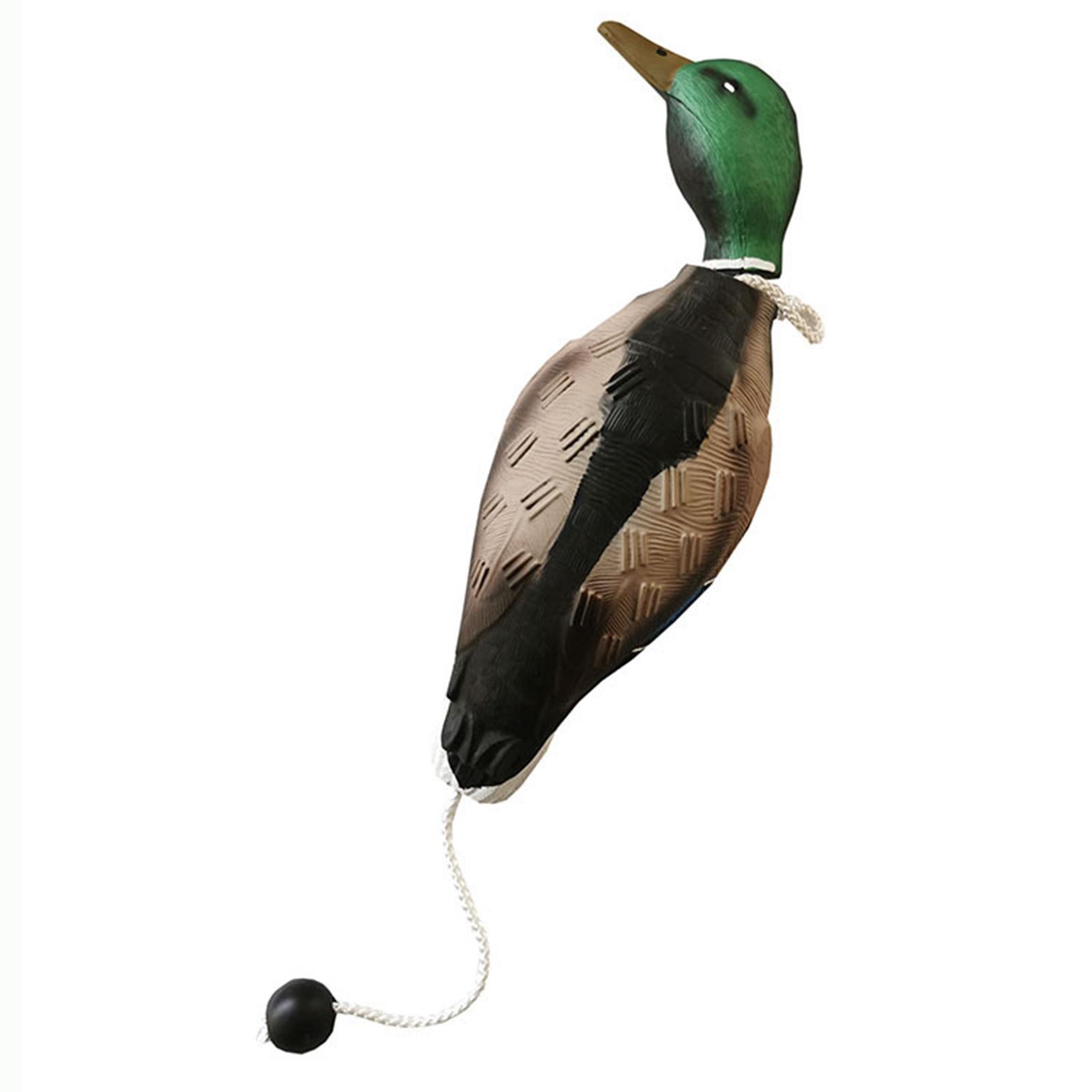 Mallard Duck Decoy Simulation  - đánh giá và giá Decoy Duck Plastic