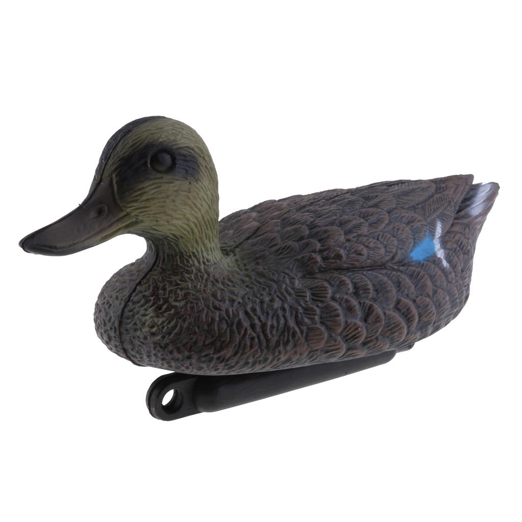 Lifesize Plastic Mandarin Duck - đánh giá và giá Decoy Duck Plastic