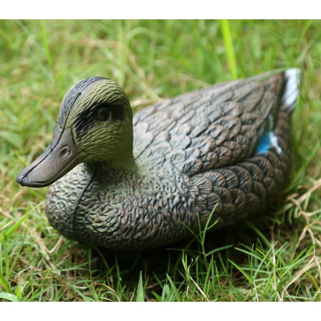 Fake Bird Hunting Decoy Lifeli - đánh giá và giá Decoy Duck Plastic