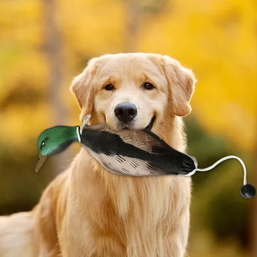 Mallard Duck Decoy Dog Trainin - đánh giá và giá Decoy Duck Plastic