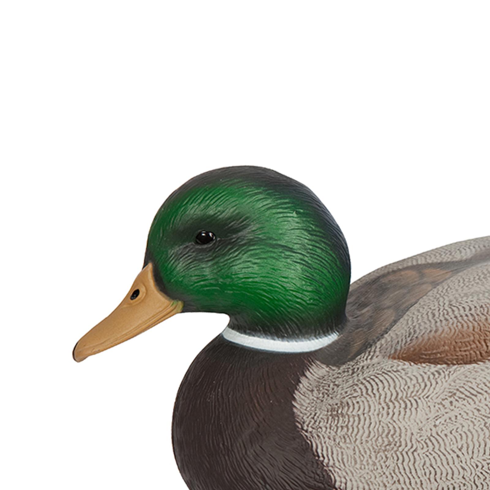 Anatomically Perfect Plastic D - đánh giá và giá Decoy Duck Plastic