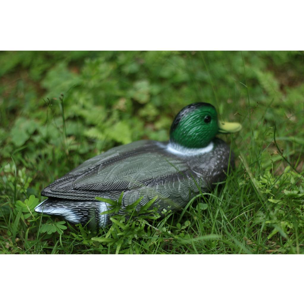 Lifelike Plastic Duck Decoy Ga - đánh giá và giá Decoy Duck Plastic