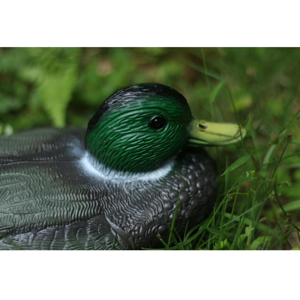 Lifelike Plastic Duck Decoy Ga - đánh giá và giá Decoy Duck Plastic