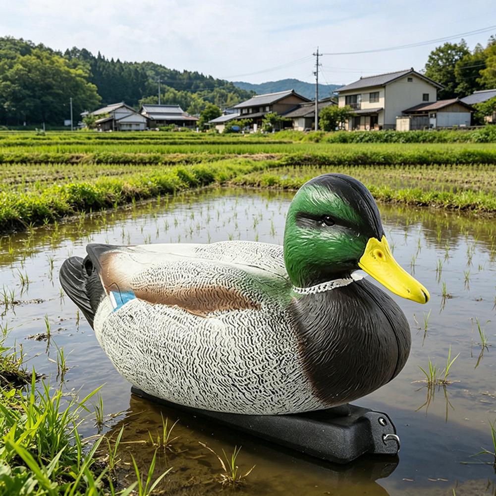 Floating Duck Decoy 3D Realist - đánh giá và giá Decoy Duck Plastic