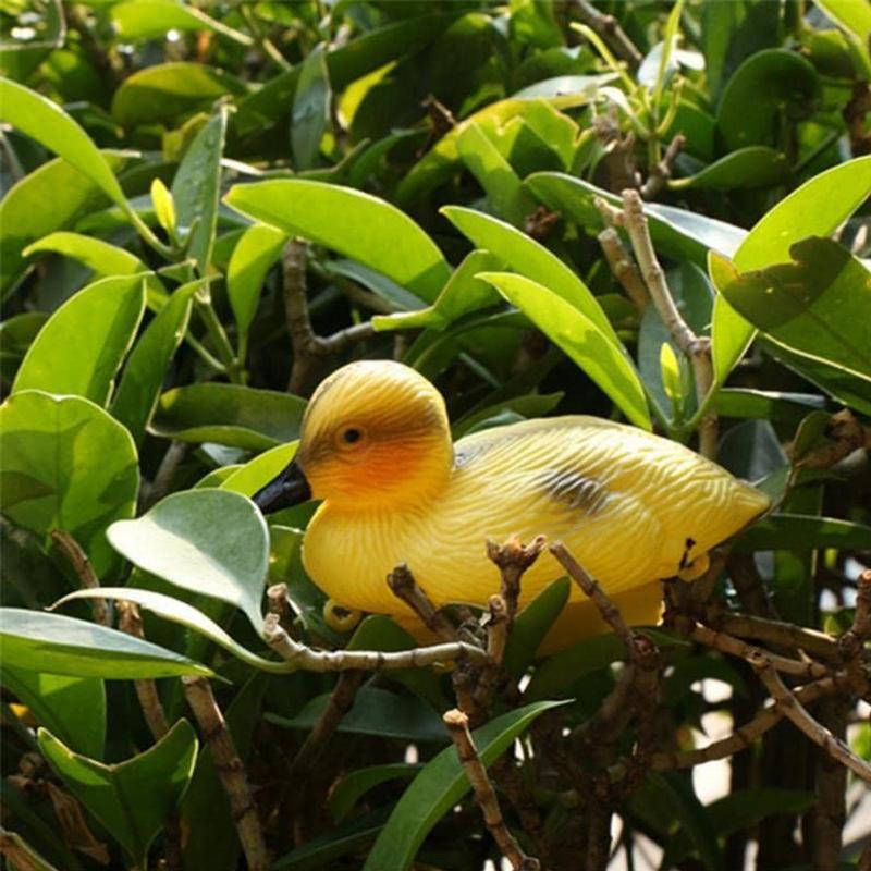 5Pack Floating Duck Fish Pond  - đánh giá và giá Decoy Duck Plastic