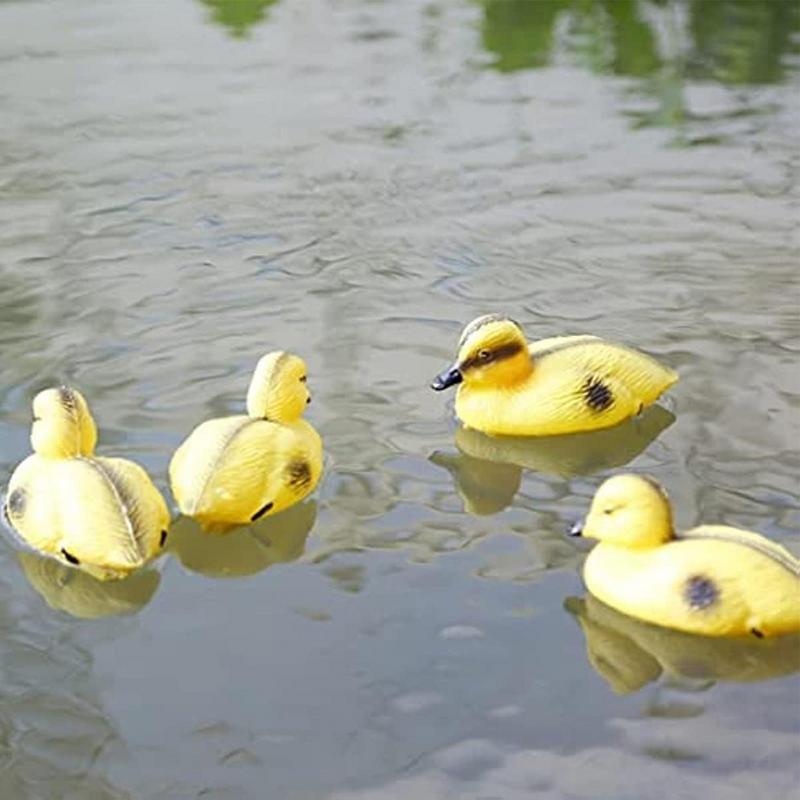 5Pack Floating Duck Fish Pond  - đánh giá và giá Decoy Duck Plastic